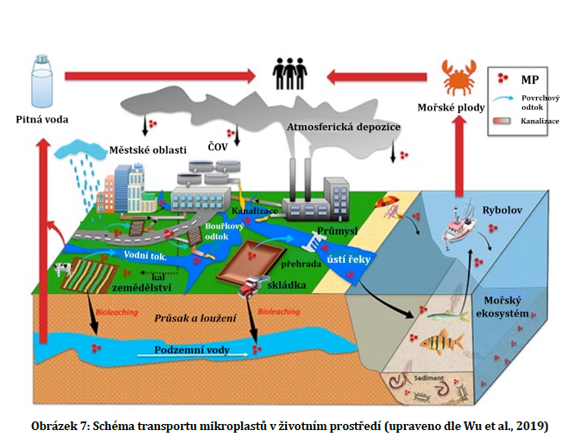 Schéma transportu mikroplastů v životním prostředí  Zdroj obr: Přírodovědecká fakulta Univerzity Hradec Králové, Petra Horáková: Analýza mikroplastových částic v balených nápojích, 2020